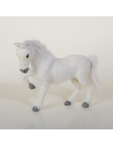 Pferd weiss