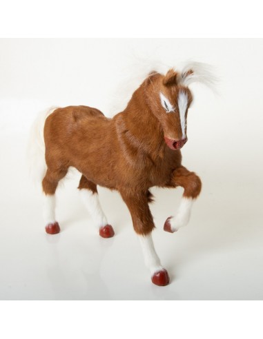 Pferd