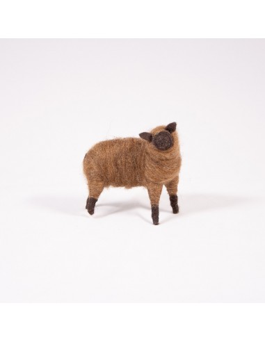 Schaf stehend