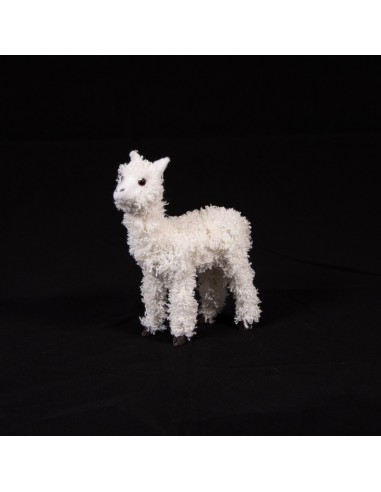 Lama weiss