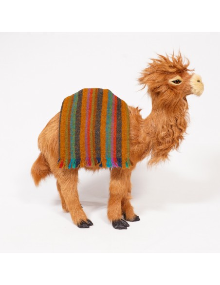 Satteldecke für Dromedar