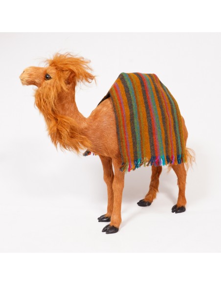 Satteldecke für Dromedar