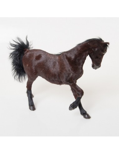 Pferd