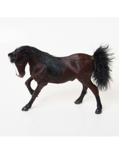Pferd
