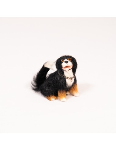 Bernersennenhund sitzend