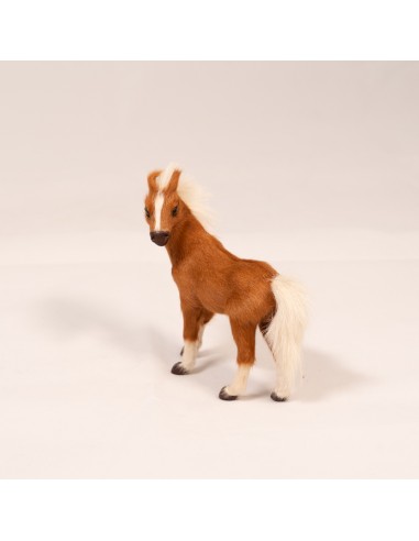 Pferd