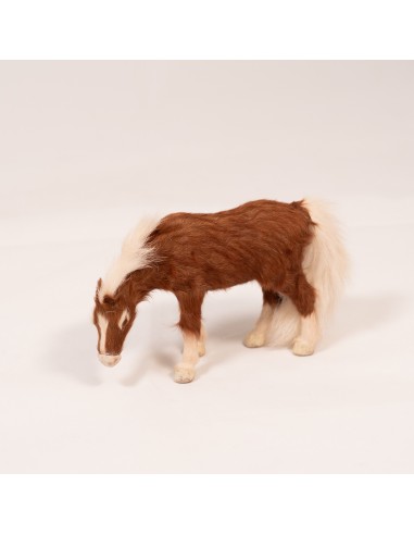 Pferd braun