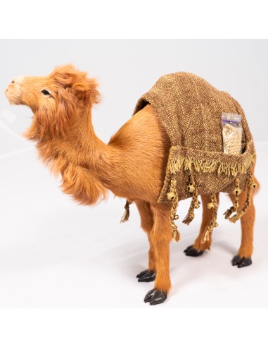 Satteldecke für Dromedar