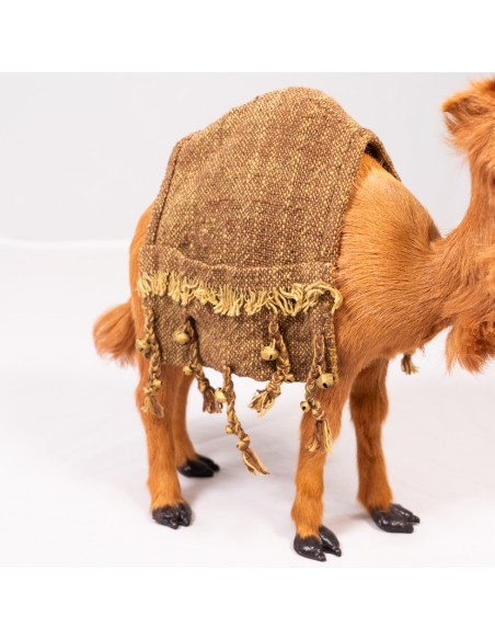 Satteldecke für Dromedar