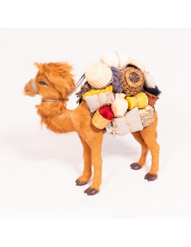 Kamel beladen, stehend