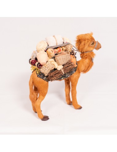 Kamel beladen, stehend