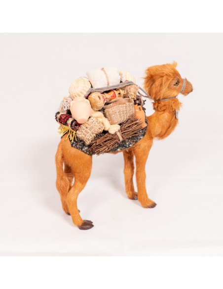 Kamel beladen, stehend