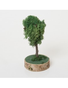 Baum