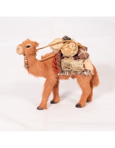 Dromedar beladen, stehend
