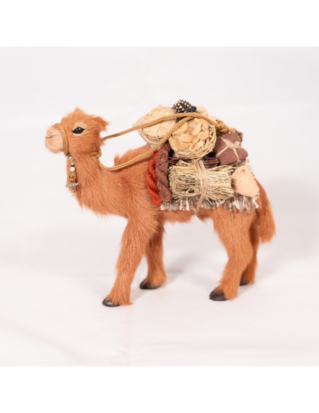 Dromedar beladen, stehend