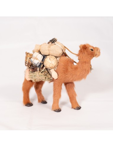 Dromedar beladen, stehend