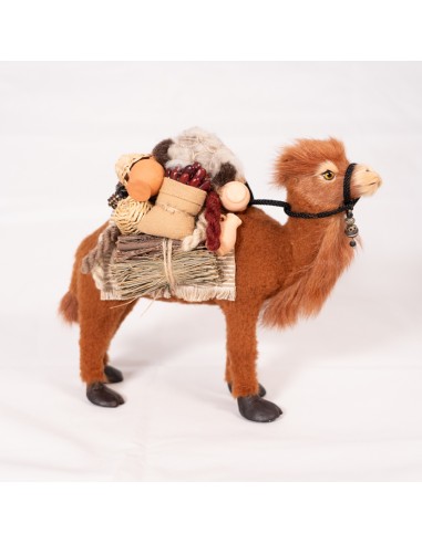 Dromedar beladen, stehend