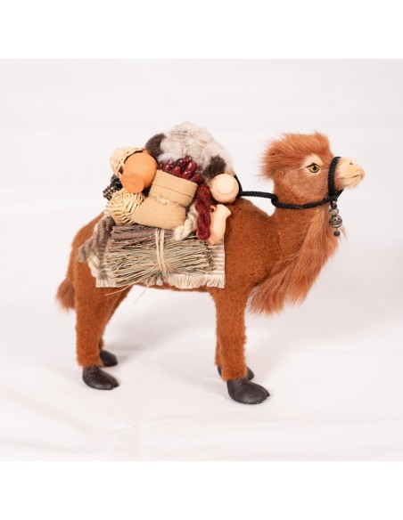 Dromedar beladen, stehend