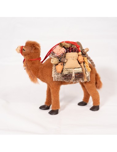 Dromedar beladen, stehend