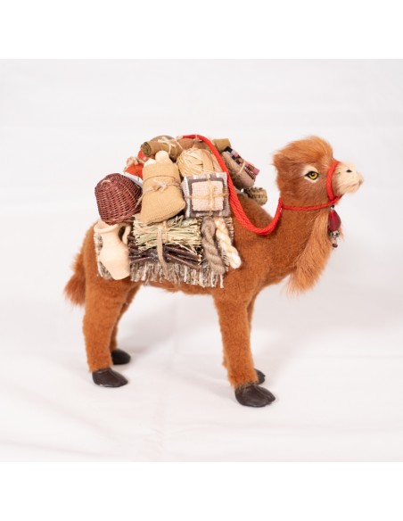 Dromedar beladen, stehend