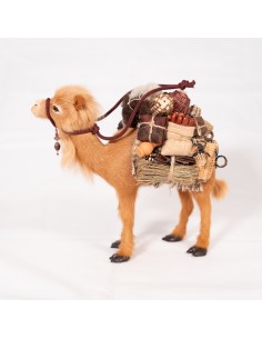 Dromedar beladen, stehend