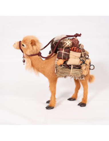 Dromedar beladen, stehend