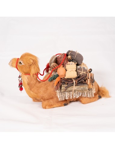 Dromedar beladen, liegend