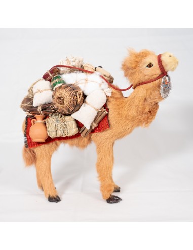 Dromedar beladen, stehend