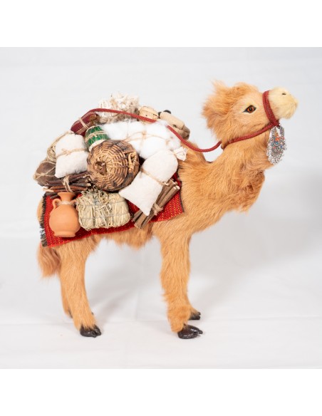 Dromedar beladen, stehend