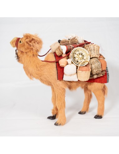 Dromedar beladen, stehend