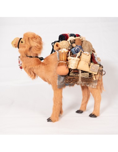 Dromedar beladen, stehend