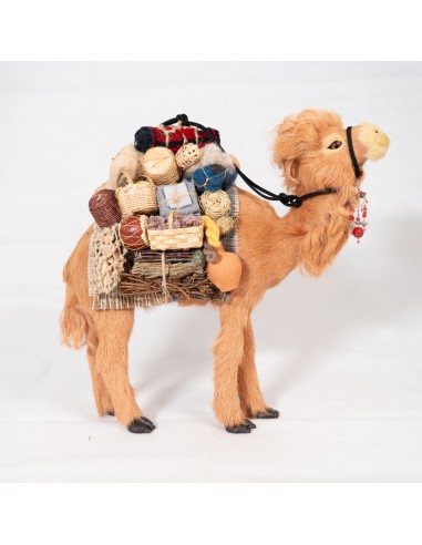 Dromedar beladen, stehend