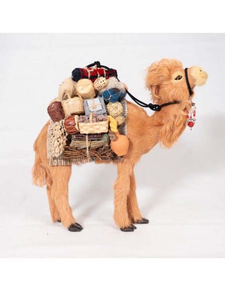 Dromedar beladen, stehend