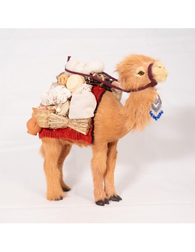 Dromedar beladen, stehend