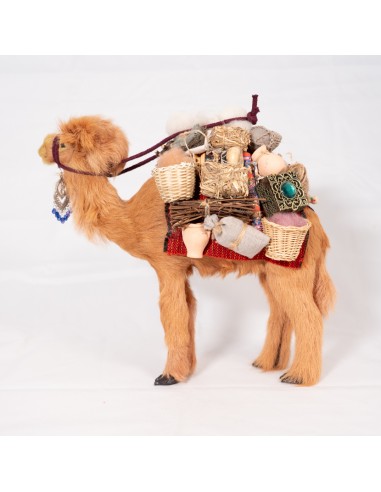 Dromedar beladen, stehend