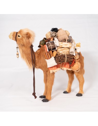 Dromedar beladen, stehend