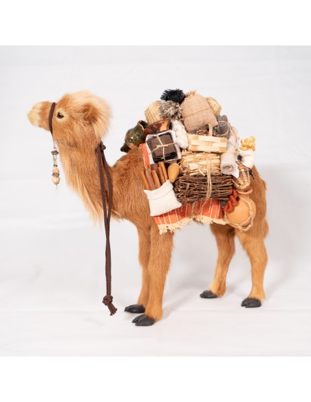 Dromedar beladen, stehend