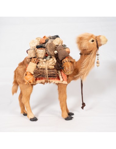 Dromedar beladen, stehend