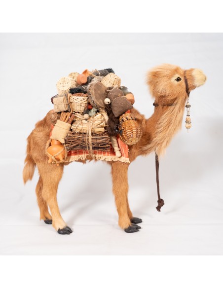 Dromedar beladen, stehend