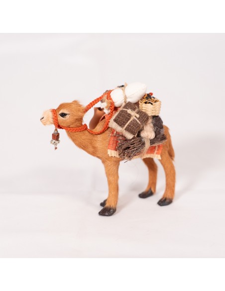 Dromedar beladen, stehend