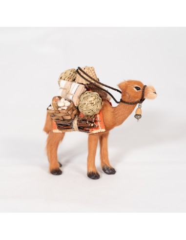 Dromedar beladen, stehend