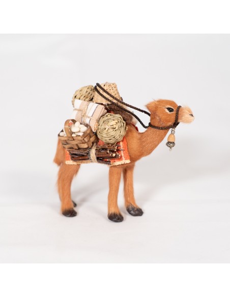 Dromedar beladen, stehend