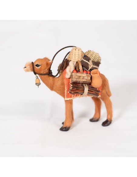 Dromedar beladen, stehend