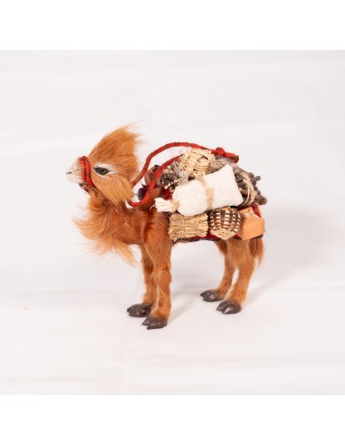 Dromedar beladen, stehend