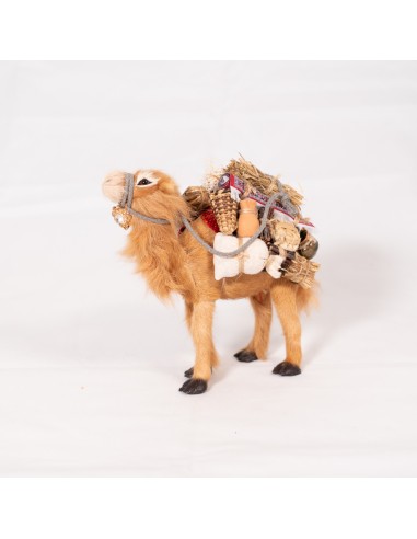 Dromedar beladen, stehend