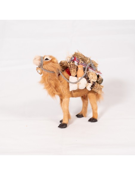 Dromedar beladen, stehend