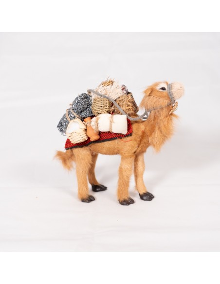 Dromedar beladen, stehend