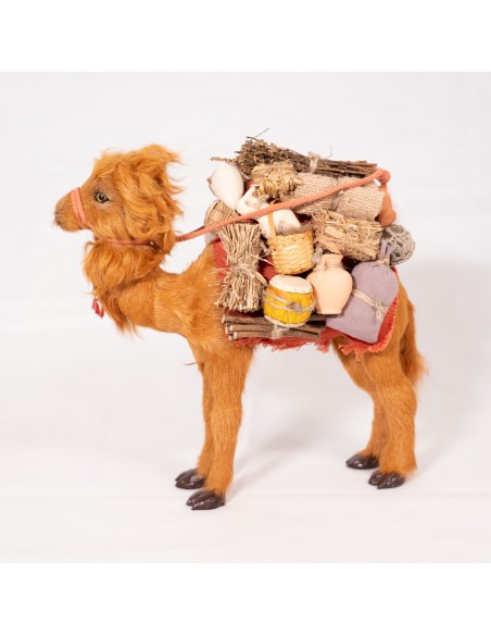 Kamel beladen, stehend