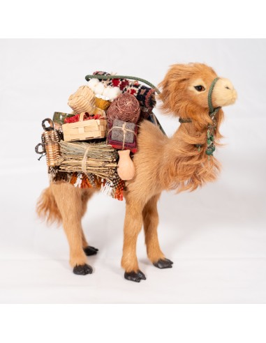 Dromedar beladen, stehend