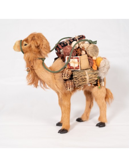 Dromedar beladen, stehend